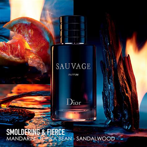 fire dior|dior cologne sauvage.